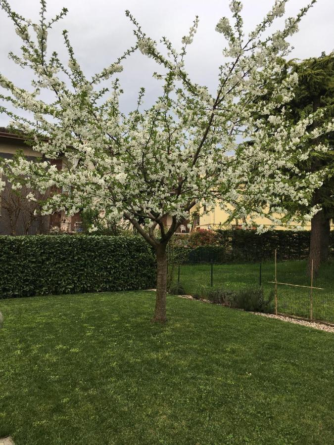 Appartamenti Francesco Peschiera del Garda Eksteriør bilde